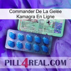 Commander De La Gelée Kamagra En Ligne new02